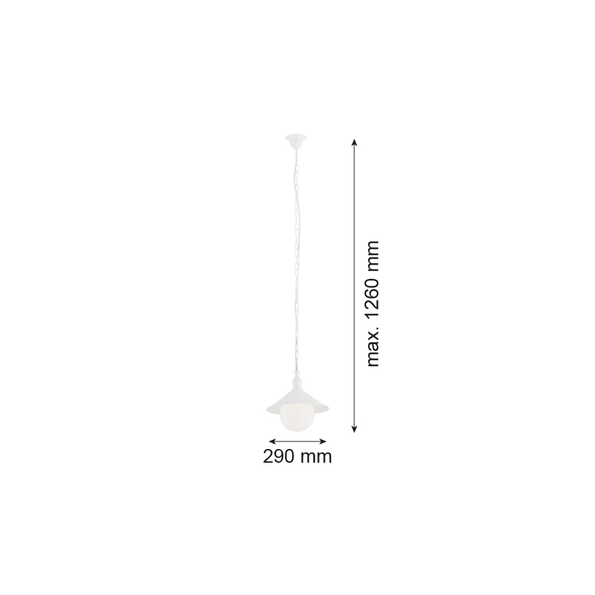 Argon 3296 - Buiten kroonluchter ERBA BIS 1xE27/60W/230V