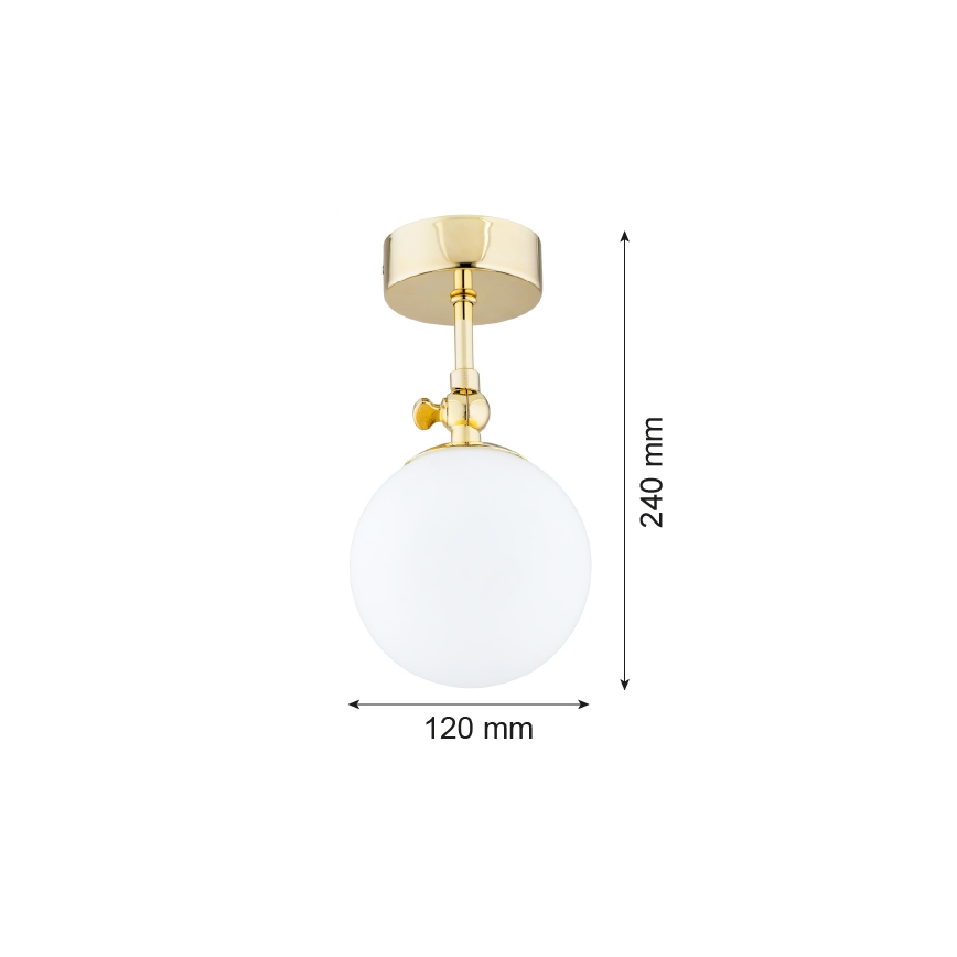 Argon 4001 - Suspension pour salle de bain LATINA 1xE14/40W/230V IP44