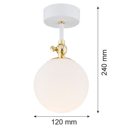 Argon 4002 - Bevestigde badkamer hanglamp LATINA 1xE14/7W/230V IP44 wit/gouden