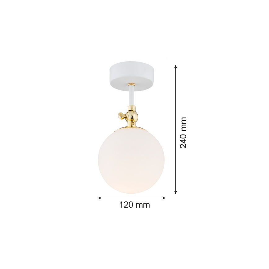 Argon 4002 - Bevestigde badkamer hanglamp LATINA 1xE14/7W/230V IP44 wit/gouden