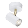 Argon 4209 - Plafond Spot LAGOS 1xGU10/5W/230V wit / goud