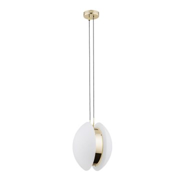 Argon 4679 - Hanglamp aan een koord BUFFALO 1xE27/15W/230V messing