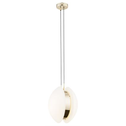 Argon 4679 - Hanglamp aan een koord BUFFALO 1xE27/15W/230V messing