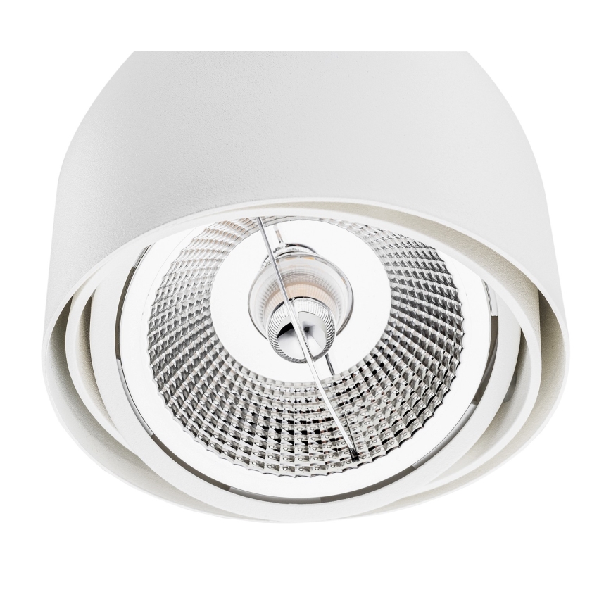 Argon 4710 - Spot GARLAND 1xGU10-AR111/12W/230V wit