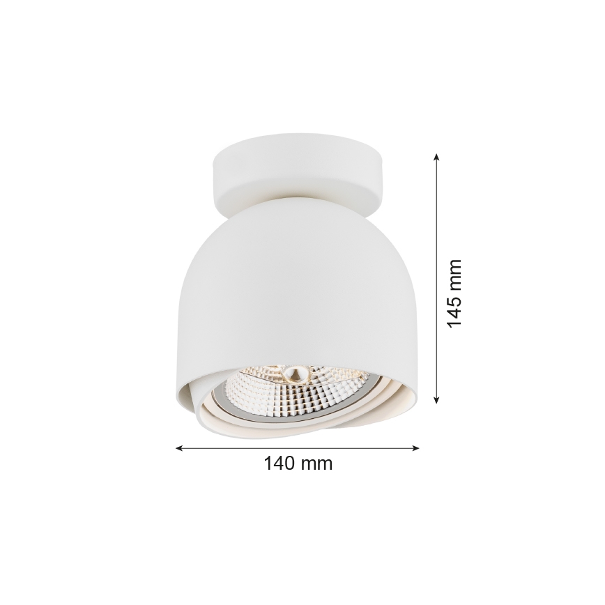 Argon 4710 - Spot GARLAND 1xGU10-AR111/12W/230V wit
