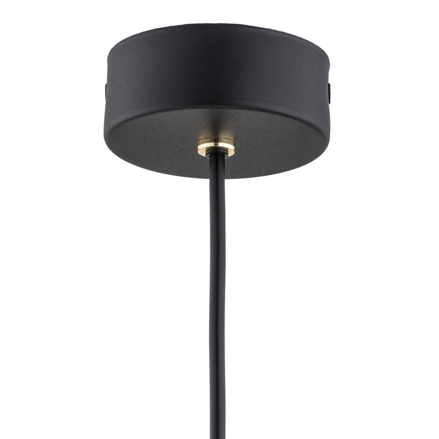 Argon 4752 - LED Hanglamp aan een koord SICILIA LED/4,5W/230V