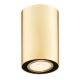 Argon 4759 - Plafond Lamp TYBER 1xGU10/5W/230V goud