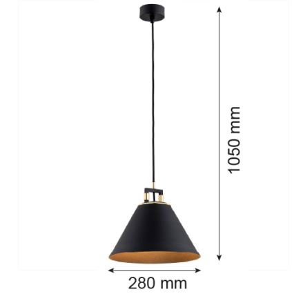 Argon 4915 - Hanglamp aan een koord ORTE 1xE27/15W/230V zwart