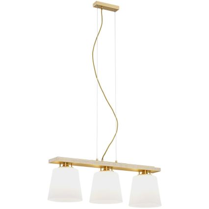 Argon 6250 - Hanglamp aan een koord ARDEN 3xE27/15W/230V goud