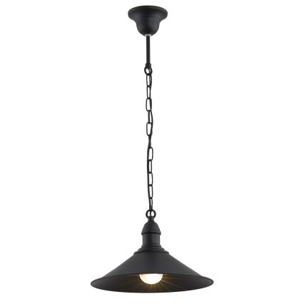 Argon 631 - Hanglamp aan ketting ERBA 1xE27/60W/230V