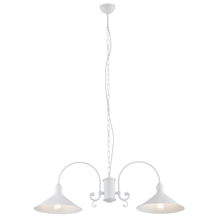 Argon 667 - Hanglamp ERBA 2xE27/60W/230V