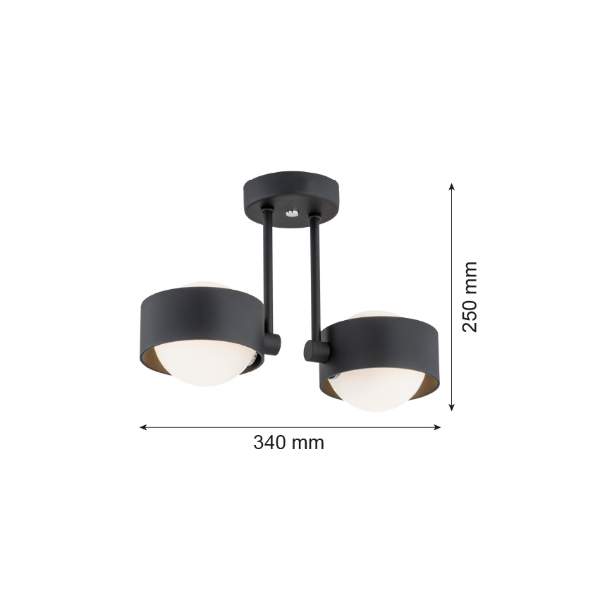 Argon 7089 - Lustre sur barre MASSIMO PLUS 2xG9/6W/230V noir