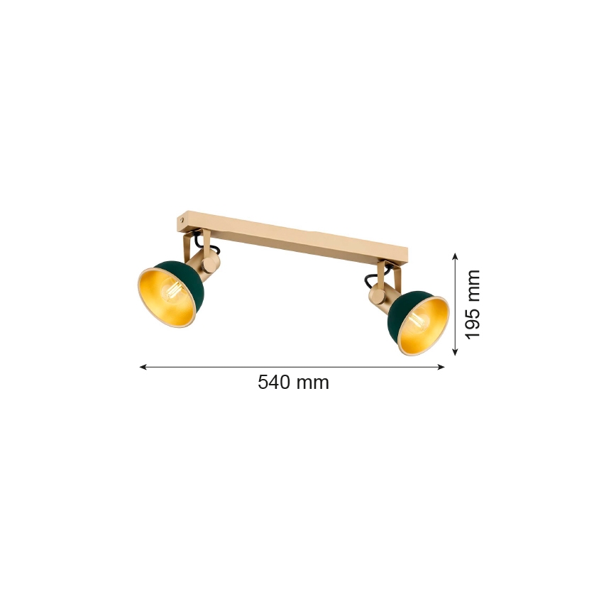 Argon 7143 - Spot LENORA 2xE14/7W/230V doré/vert