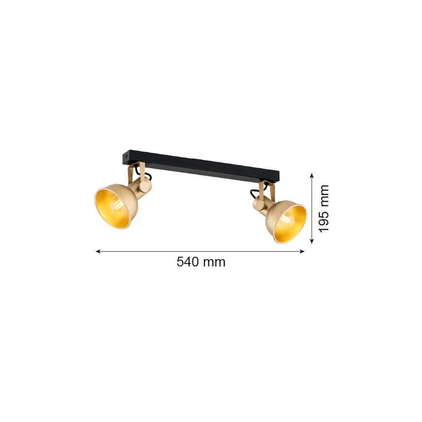 Argon 7144 - Spot LENORA 2xE14/7W/230V goud/zwart