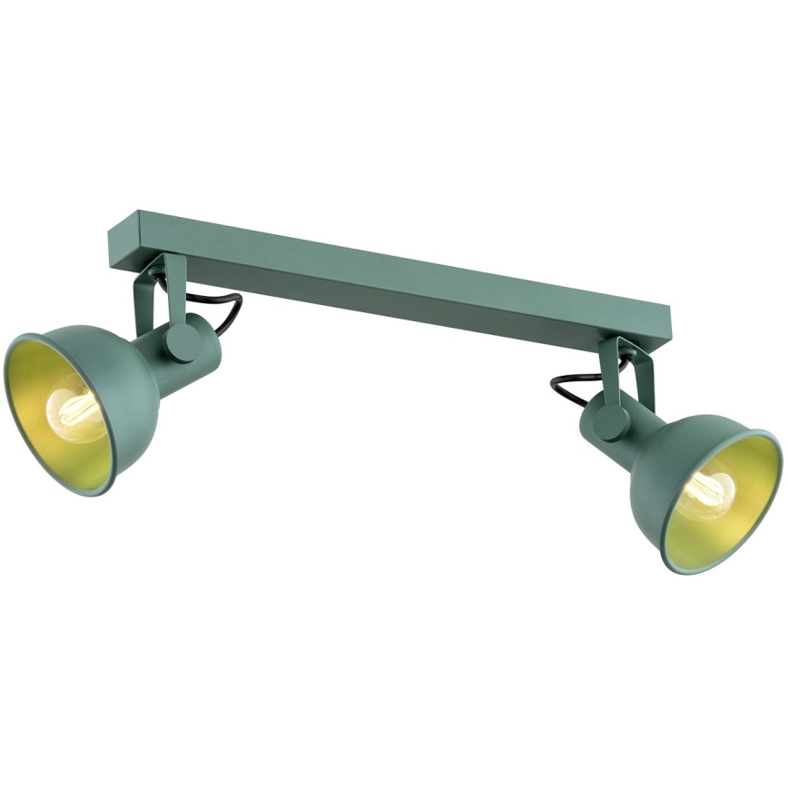 Argon 7174 - Spot LENORA 2xE14/7W/230V groen