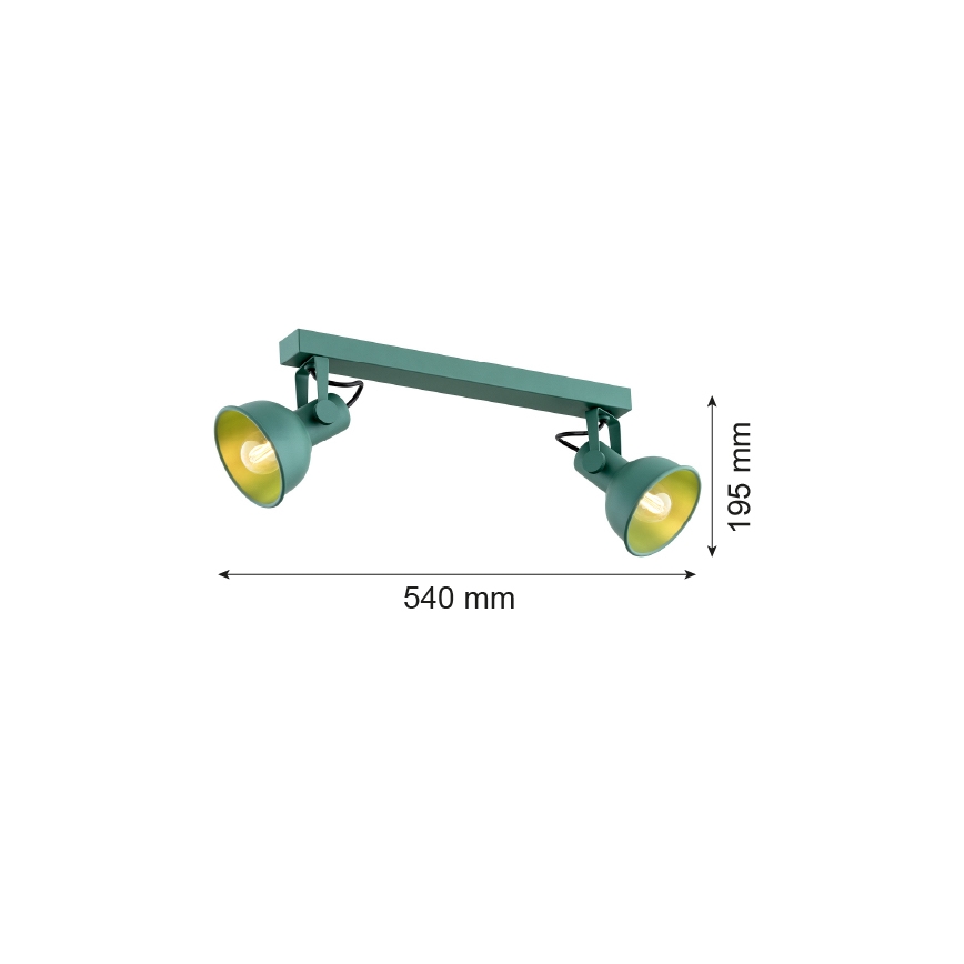 Argon 7174 - Spot LENORA 2xE14/7W/230V groen