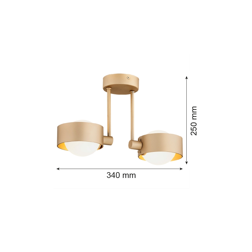 Argon 7215 - Suspension-barre salle de bain MASSIMO PLUS 2xG9/6W/230V IP44 doré