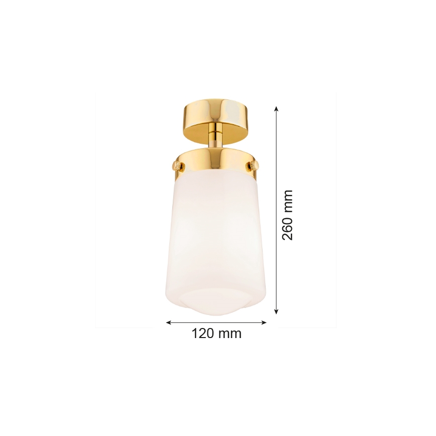Argon 8005 - Surface-mounted Lustre PASADENA 1xE27/15W/230V doré/blanc