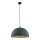 Argon 8243 - Hanglamp aan een koord BONITA 1xE27/15W/230V groen