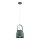 Argon 8283 - Hanglamp aan een koord LOGAN 1xE27/15W/230V diameter 20 cm groen