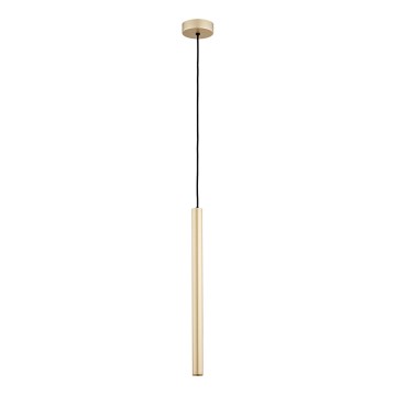Argon 8327 - LED Hanglamp aan een koord RIO LED/4,2W/230V 3000K goud
