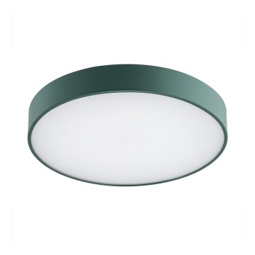 Argon 8335 - Plafonnier LED TIAMO LED/22W/230V 4000K vert