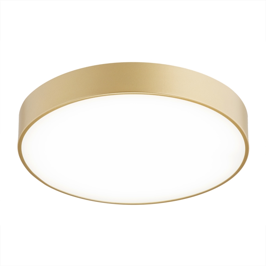 Argon 8349 - LED plafondlamp TIAMO LED/22W/230V 4000K goud