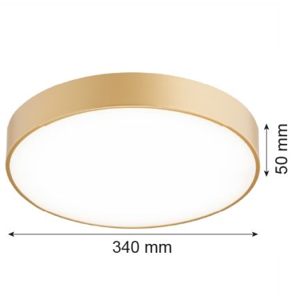 Argon 8349 - LED plafondlamp TIAMO LED/22W/230V 4000K goud