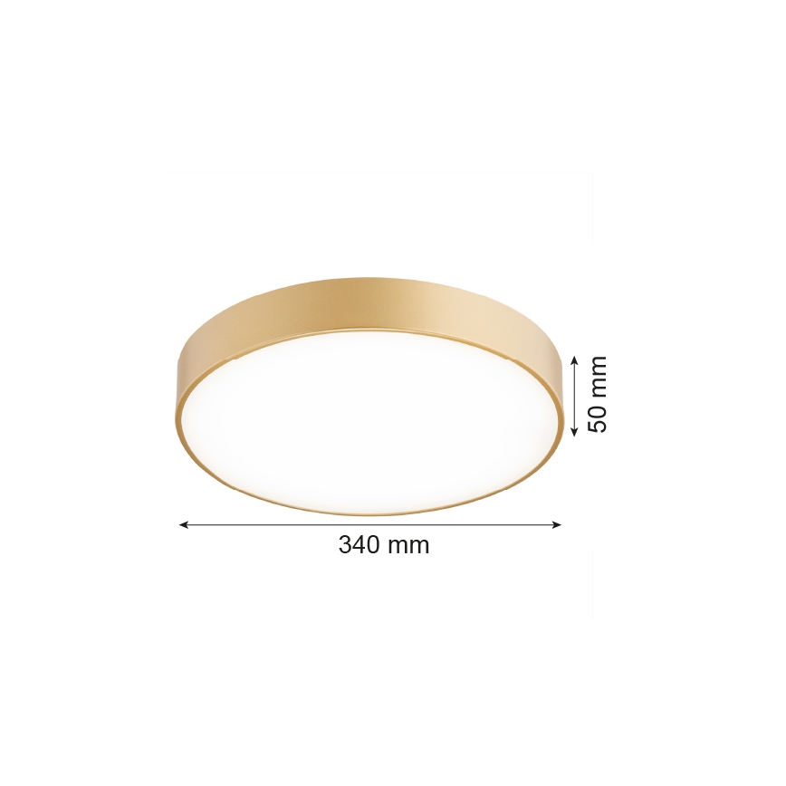 Argon 8349 - LED plafondlamp TIAMO LED/22W/230V 4000K goud