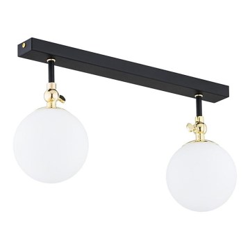 Argon 846 - Badkamerplafondlamp LATINA 2xE14/40W/230V IP44