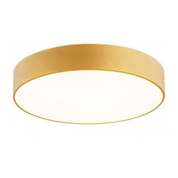 Argon 871 - Plafondverlichting DARLING 2xE27/15W/230V gouden