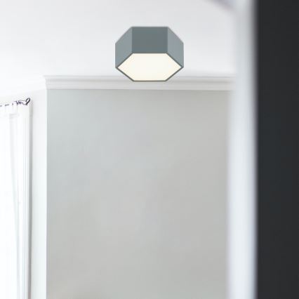 Argon 8784 - LED Plafondlamp LIBERO LED/12W/230V 3000K grijs