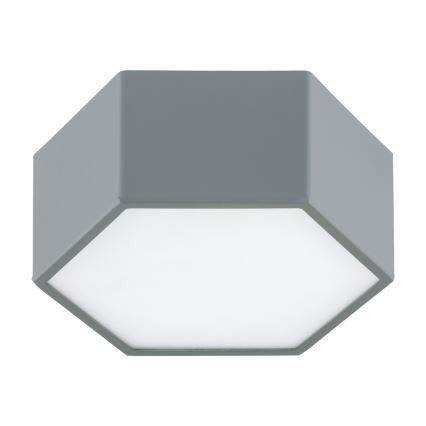 Argon 8784 - LED Plafondlamp LIBERO LED/12W/230V 3000K grijs