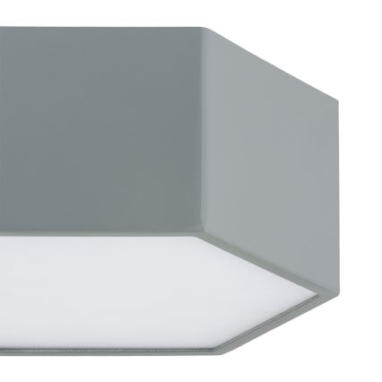Argon 8784 - LED Plafondlamp LIBERO LED/12W/230V 3000K grijs
