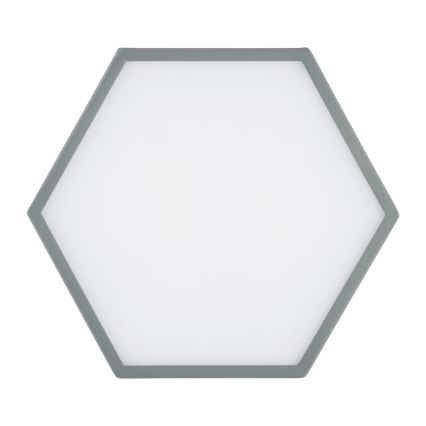 Argon 8784 - LED Plafondlamp LIBERO LED/12W/230V 3000K grijs