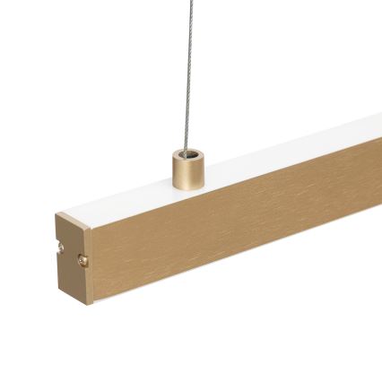 Argon 8836 - LED Hanglamp aan een koord MIAMI LED/37W/230V 3000K goud