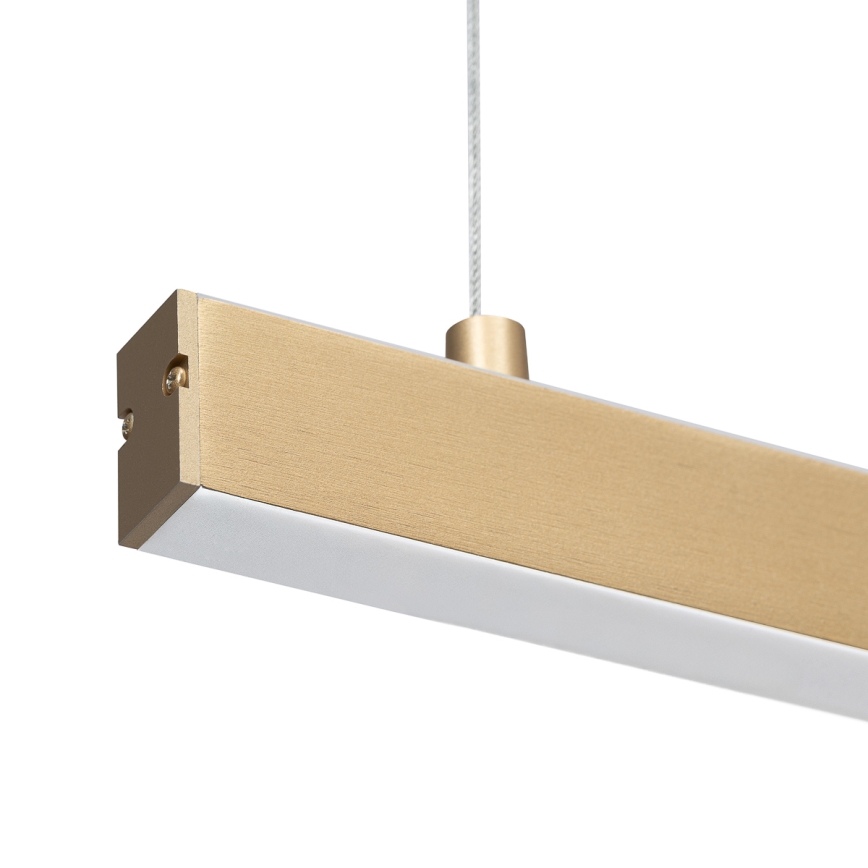 Argon 8836 - LED Hanglamp aan een koord MIAMI LED/37W/230V 3000K goud