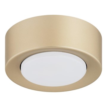 Argon 8903 - Plafondlamp ELORA 1xGX53/7W/230V Ø 11 cm goud