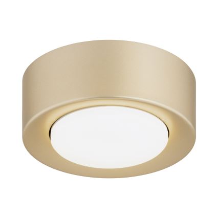 Argon 8903 - Plafondlamp ELORA 1xGX53/7W/230V Ø 11 cm goud