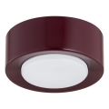 Argon 8904 - Plafondlamp ELORA 1xGX53/7W/230V Ø 11 cm wijnrood