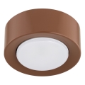 Argon 8916 - Plafondlamp ELORA 1xGX53/7W/230V Ø 11 cm terracotta