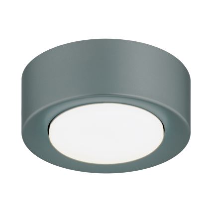 Argon 8917 - Plafonnier ELORA 1xGX53/7W/230V Ø 11 cm gris