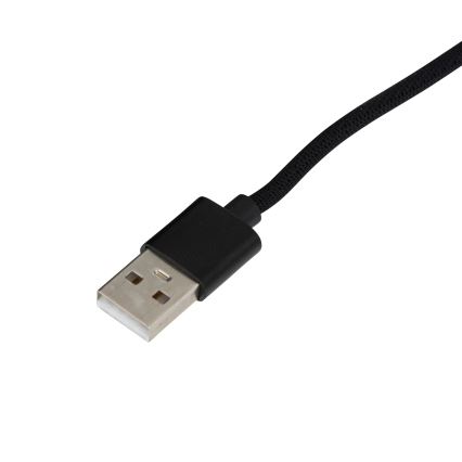 Atmosphera - Lampadaire RGB à intensité variable ABEILLE LED/230V + télécommande