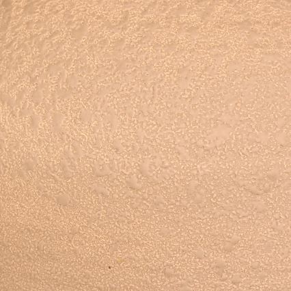 Atmosphera - Lampe de table SEIYA 1xE27/60W/230V marron/beige