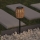 Atmosphera - LED Solar lamp ELAIS LED/1,2V 500 mAh IP44