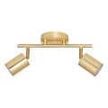 Atmosphera - Spot VICO 2xGU10/25W/230V goud