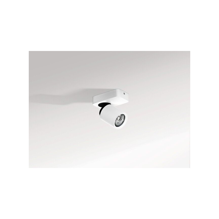 Azzardo AZ0662 - Spot TOMI 1xGU10/50W/230V