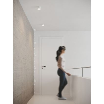 Azzardo AZ2252 - LED-plafondlamp MONZA LED/5W/230V