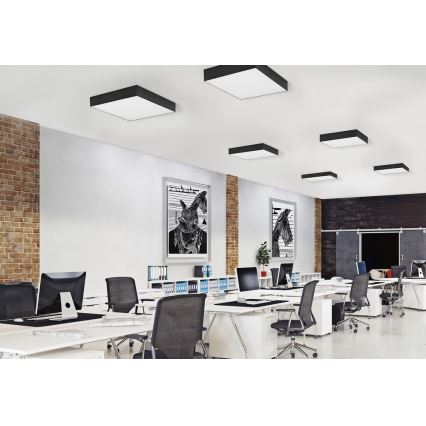 Azzardo AZ2274 - Plafonnier LED MONZA SQUARE LED/50W/230V