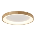 Azzardo AZ2698 - LED plafondlamp SILVAM LED/50W/230V